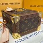 Louis Vuitton Camera Box M10079 Brown